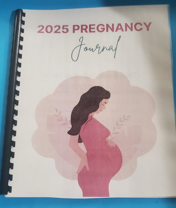 2025 Pregnancy Journal